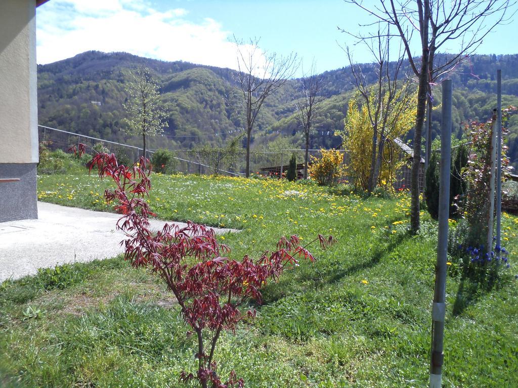 Apartments Petrin Tolmin Exterior photo