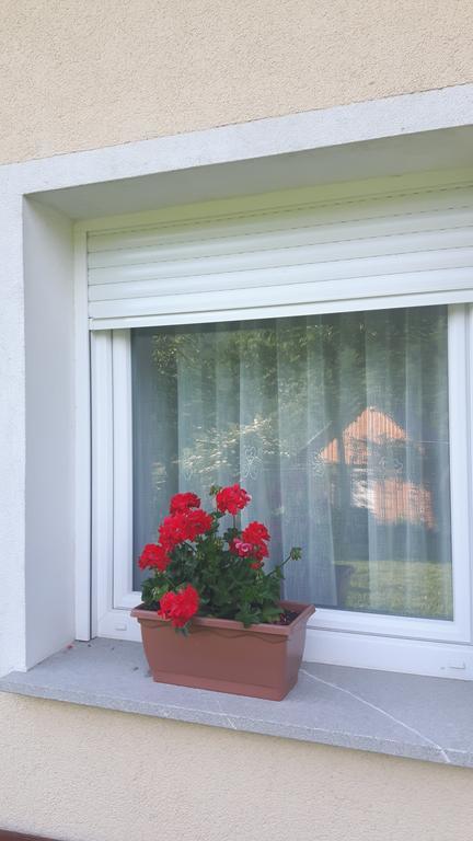 Apartments Petrin Tolmin Exterior photo